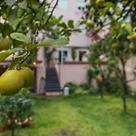 La Petite Maison de Lapa
